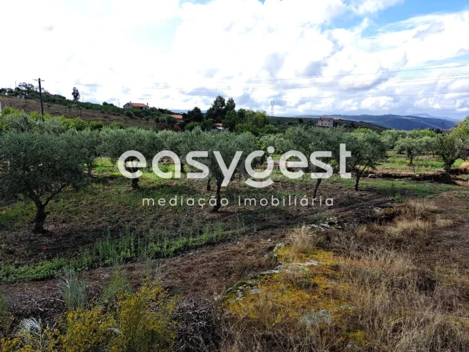 Terreno para Venda em Açoreira Foto 14
