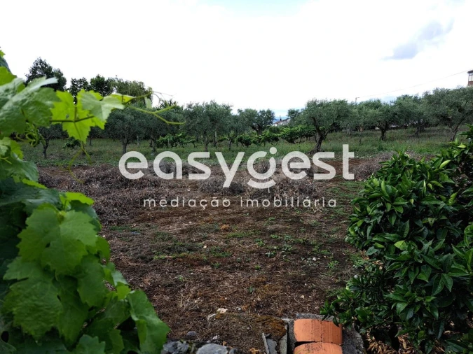 Terreno para Venda em Açoreira Foto 16