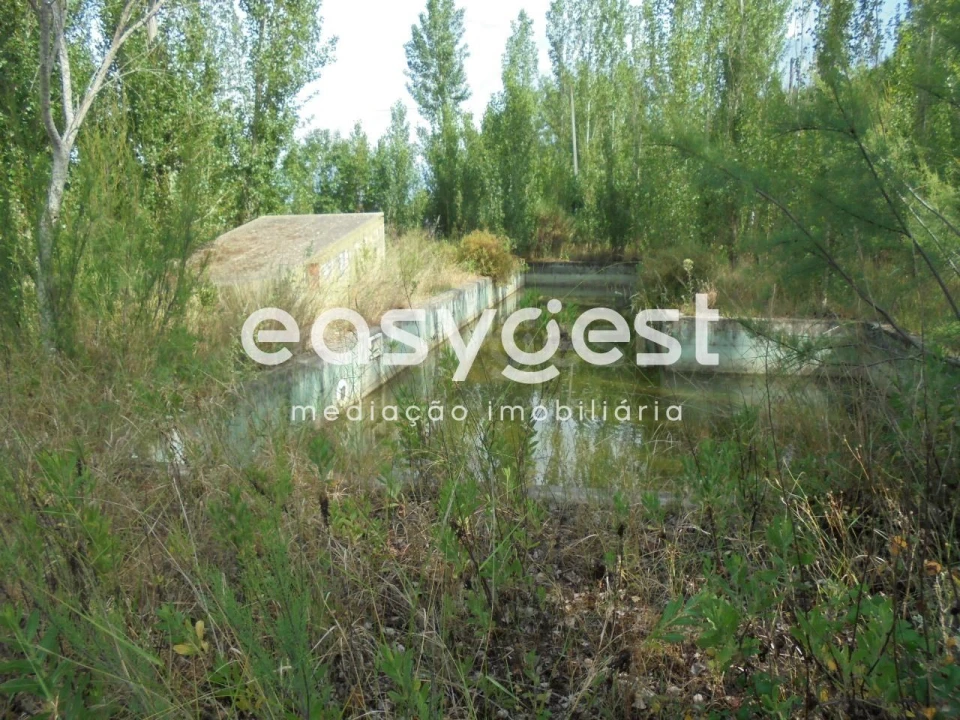 Moradia T6 para Venda em Santa Margarida da Coutada Foto 7