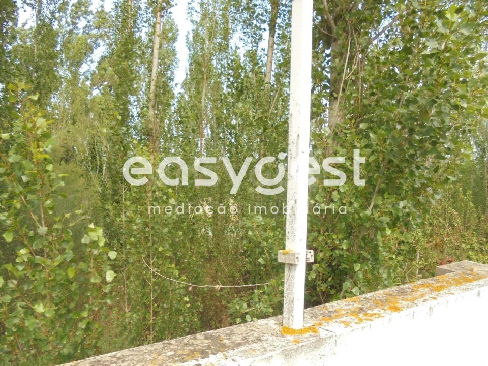 Moradia T6 para Venda em Santa Margarida da Coutada Foto 8