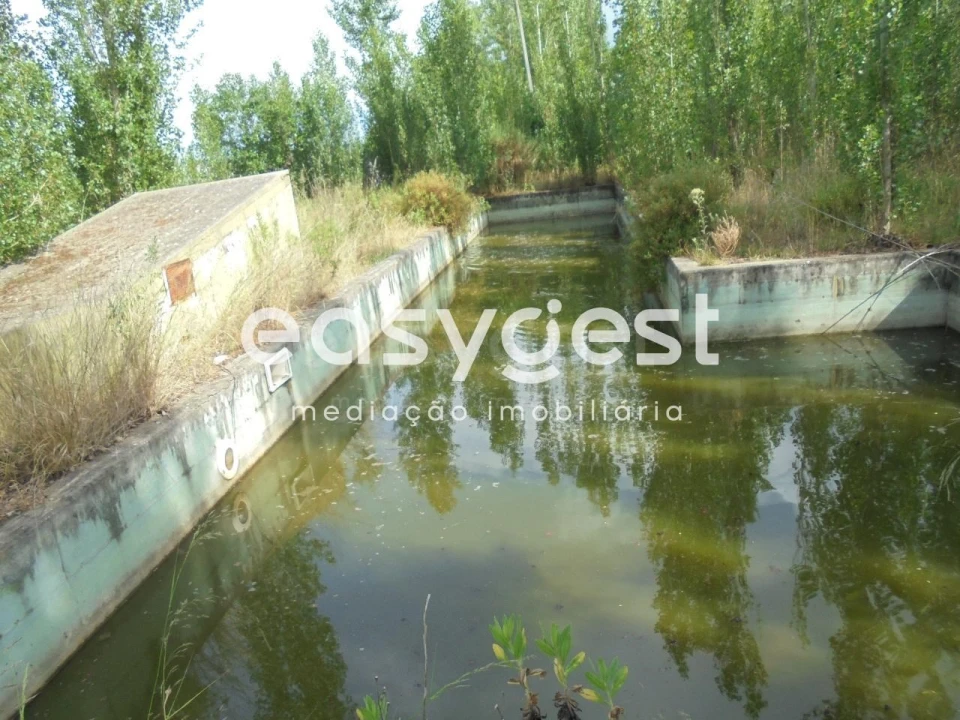 Moradia T6 para Venda em Santa Margarida da Coutada Foto 36