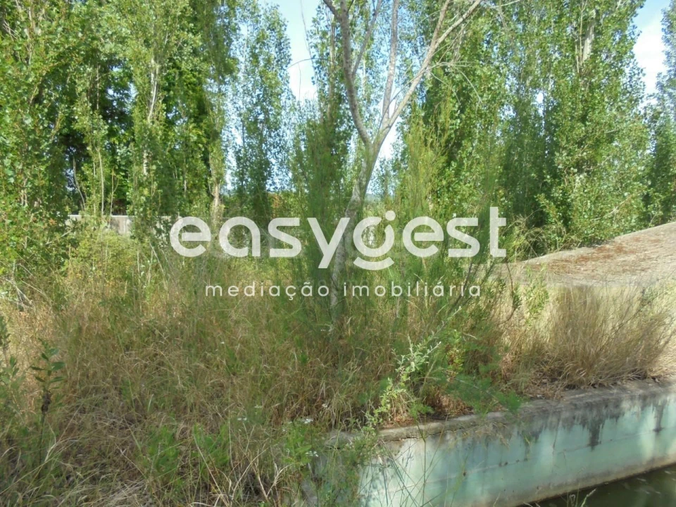 Moradia T6 para Venda em Santa Margarida da Coutada Foto 37