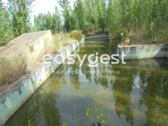 Moradia T6 para Venda em Santa Margarida da Coutada Foto 36