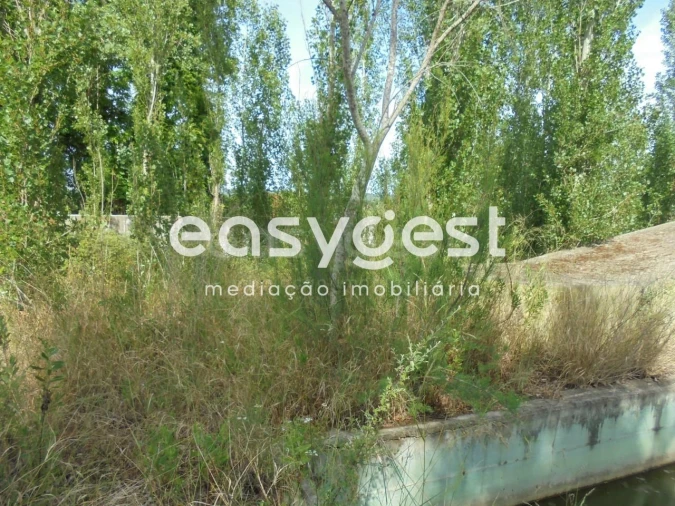 Moradia T6 para Venda em Santa Margarida da Coutada Foto 37