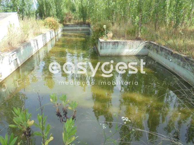 Moradia T6 para Venda em Santa Margarida da Coutada Foto 47