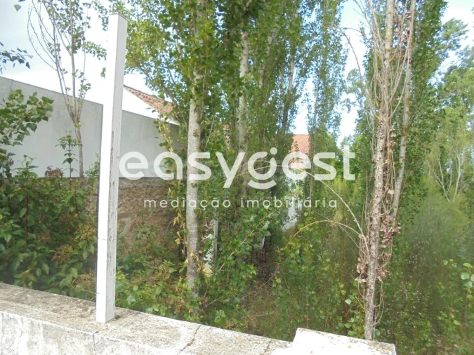 Moradia T6 para Venda em Santa Margarida da Coutada Foto 64