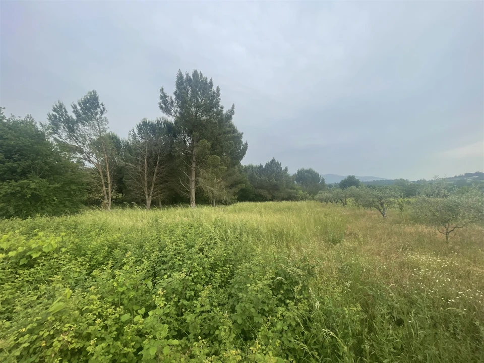 Terreno para Venda em Rio Torto e Lagarinhos Foto 7