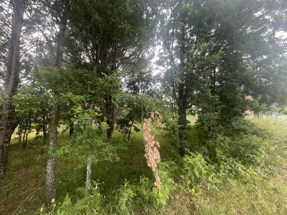 Terreno para Venda em Rio Torto e Lagarinhos Foto 11