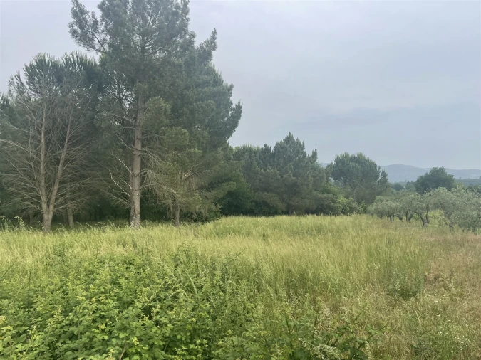 Terreno para Venda em Rio Torto e Lagarinhos Foto 8