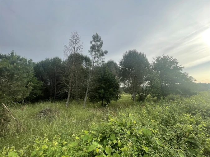 Terreno para Venda em Rio Torto e Lagarinhos Foto 4
