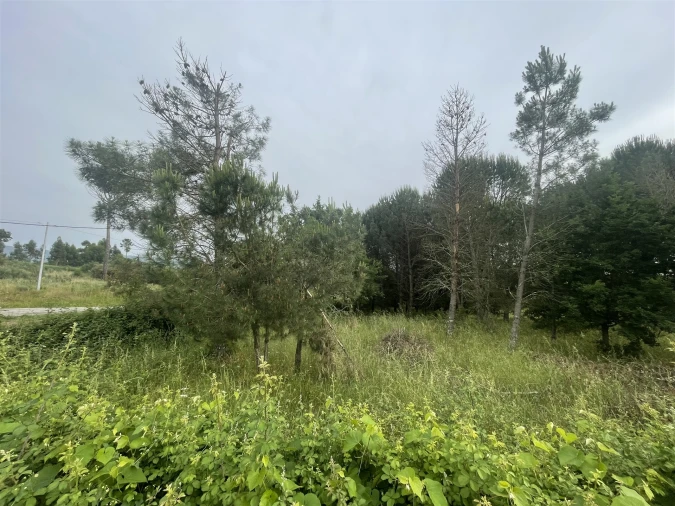 Terreno para Venda em Rio Torto e Lagarinhos Foto 5