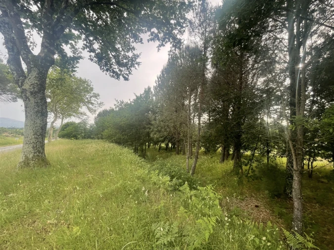 Terreno para Venda em Rio Torto e Lagarinhos Foto 12