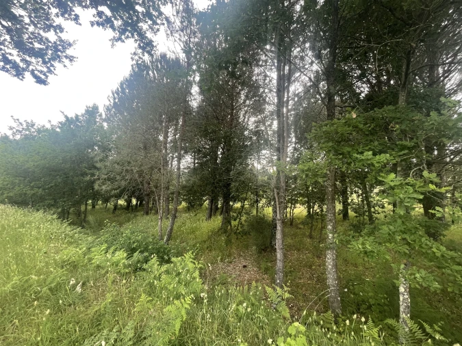 Terreno para Venda em Rio Torto e Lagarinhos Foto 1