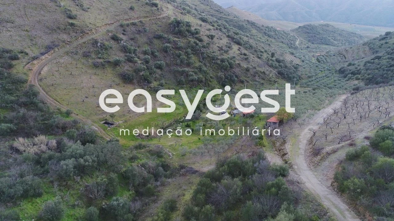 Terreno Agricola ou Rústico para Venda em Ligares Foto 2