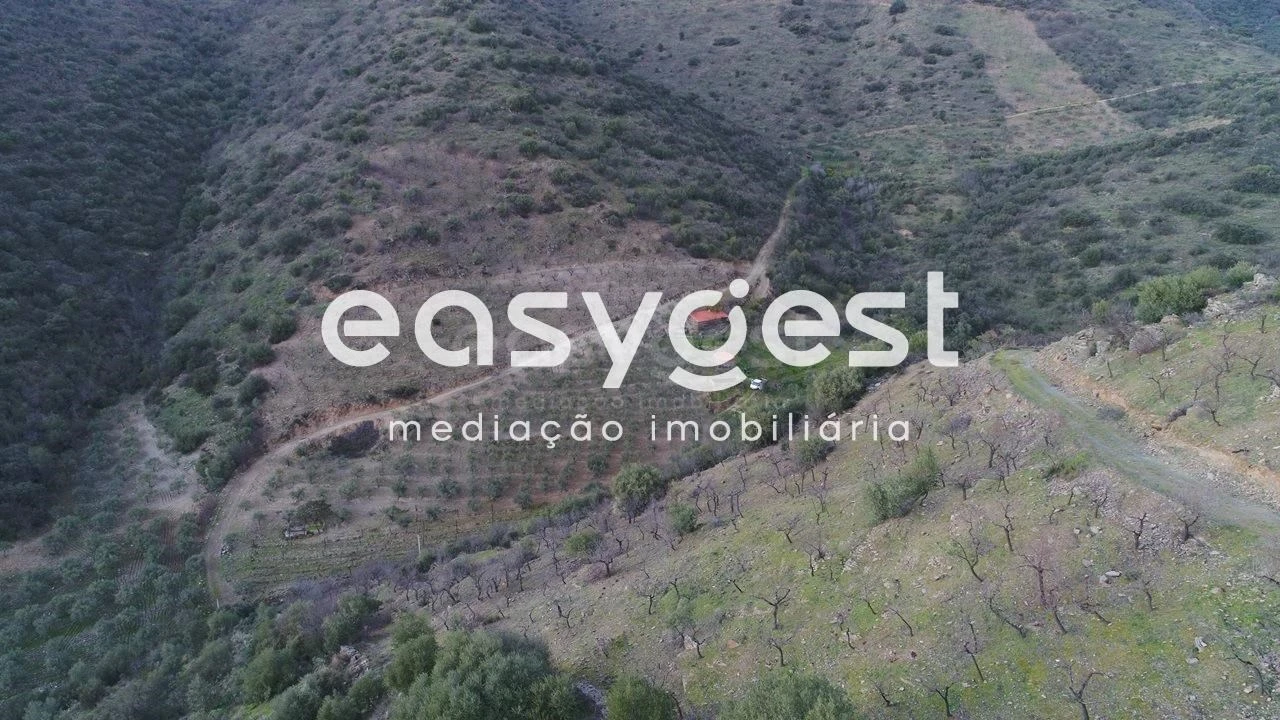 Terreno Agricola ou Rústico para Venda em Ligares Foto 4