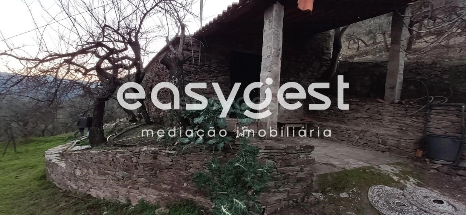 Terreno Agricola ou Rústico para Venda em Ligares Foto 8