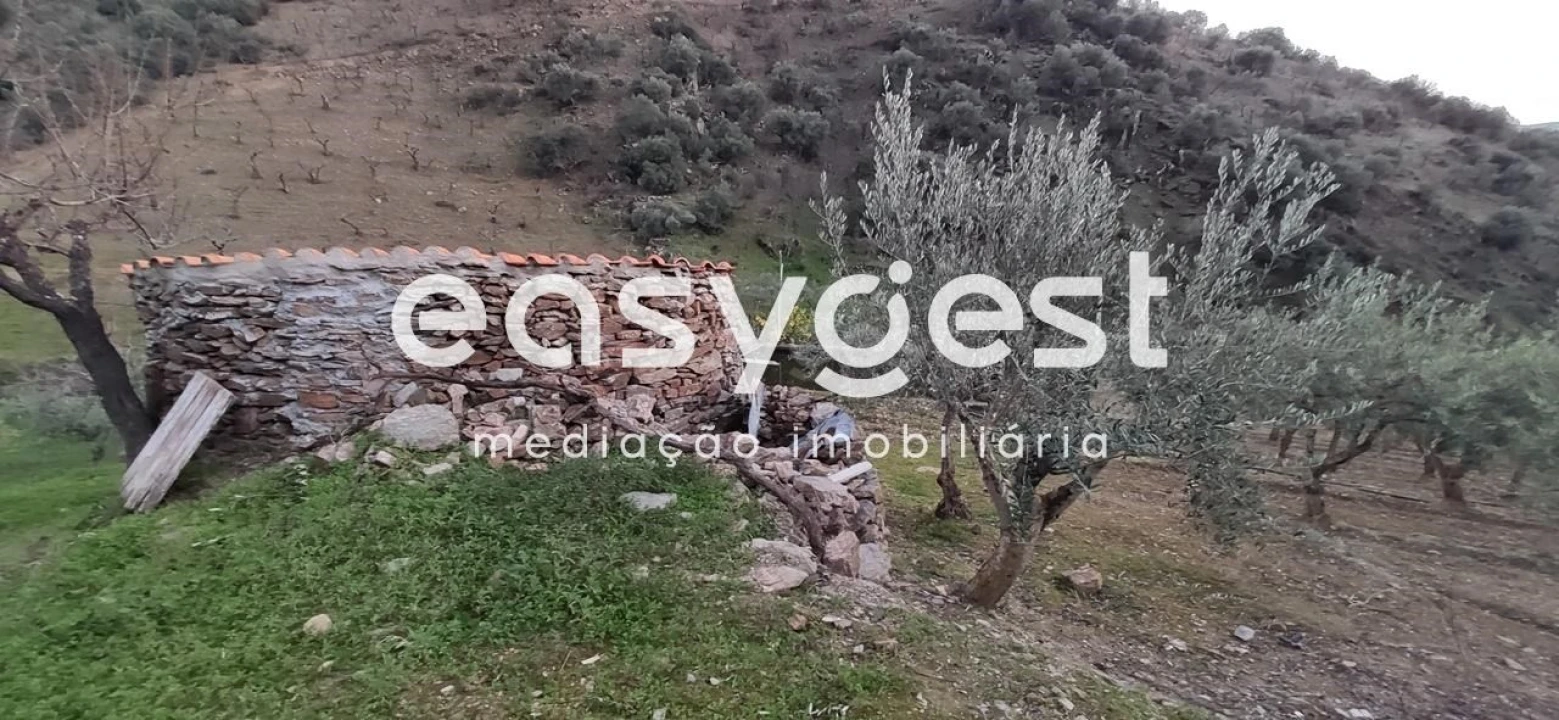 Terreno Agricola ou Rústico para Venda em Ligares Foto 11