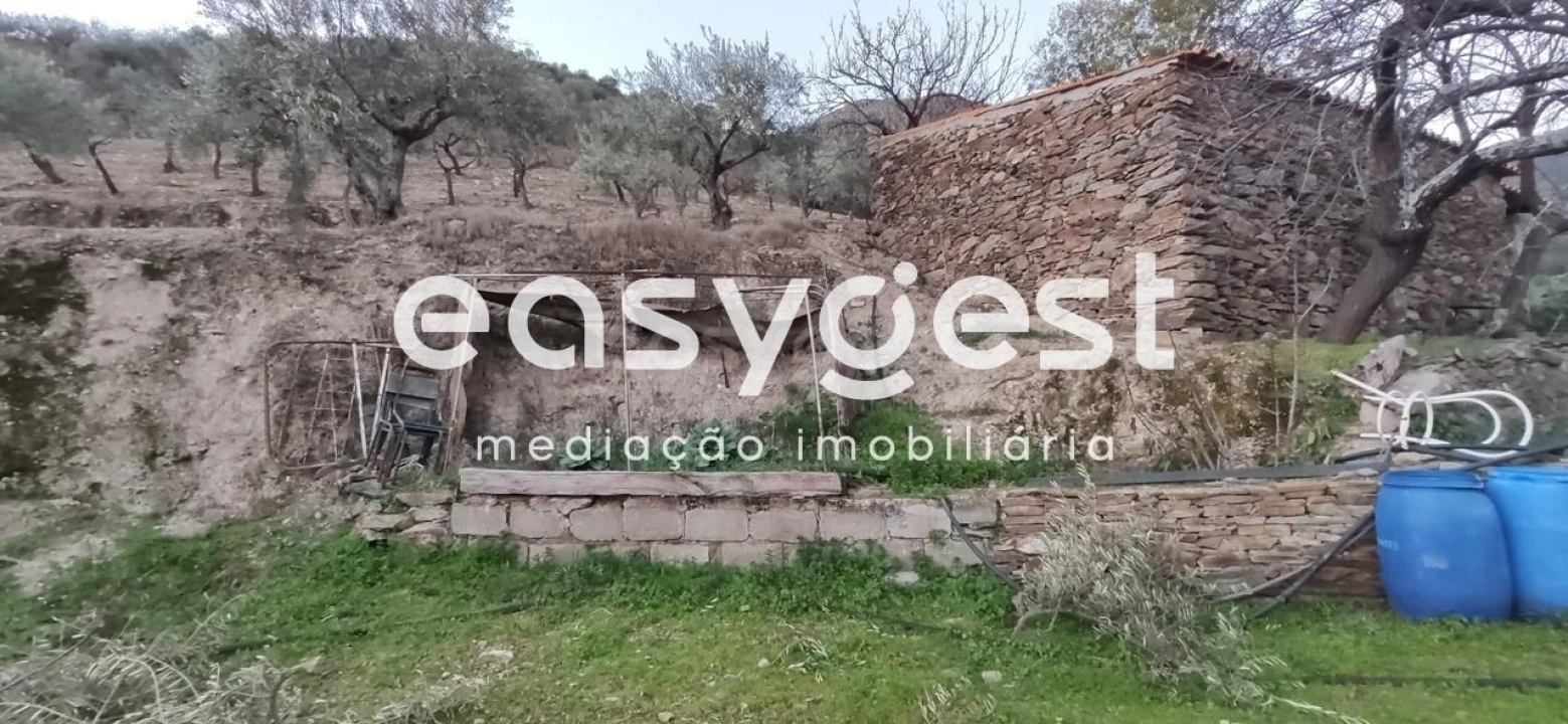 Terreno Agricola ou Rústico para Venda em Ligares Foto 12