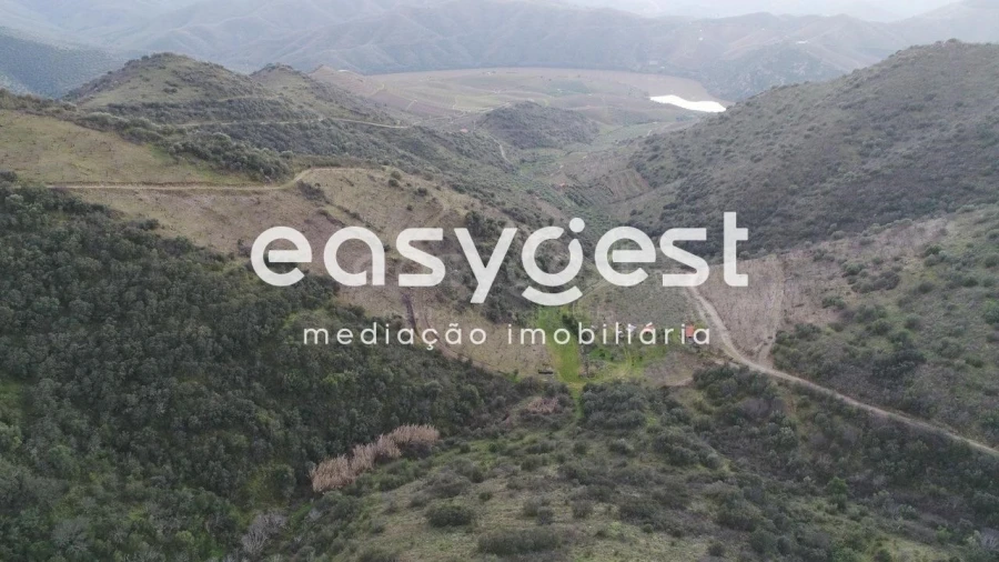 Terreno Agricola ou Rústico para Venda em Ligares