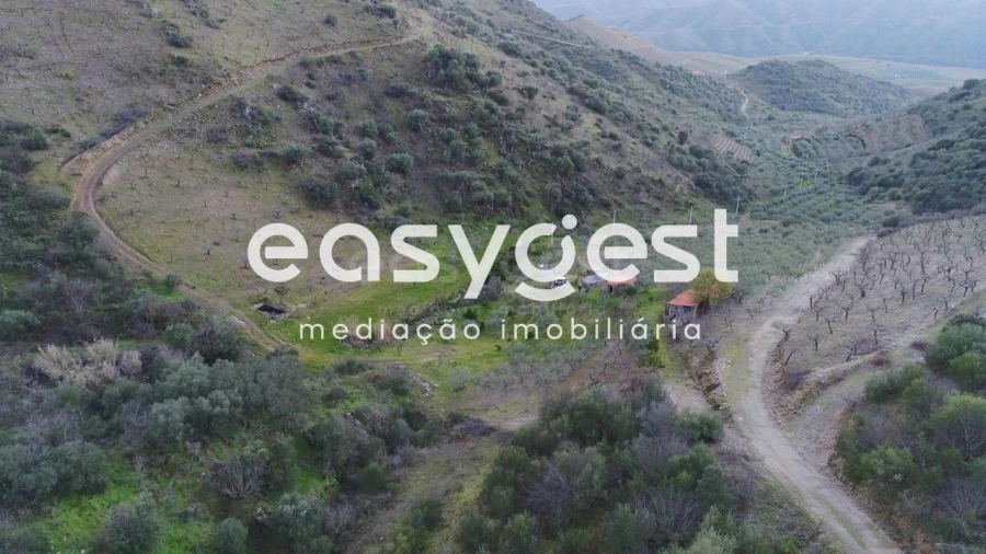 Terreno Agricola ou Rústico para Venda em Ligares Foto 2