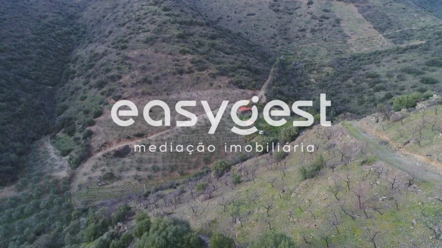 Terreno Agricola ou Rústico para Venda em Ligares Foto 4