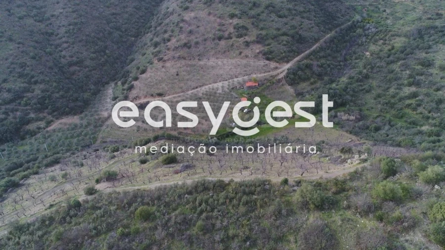 Terreno Agricola ou Rústico para Venda em Ligares Foto 6