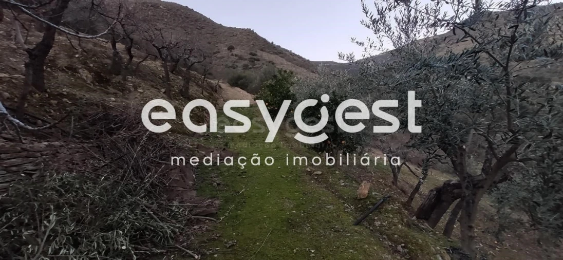 Terreno Agricola ou Rústico para Venda em Ligares Foto 7