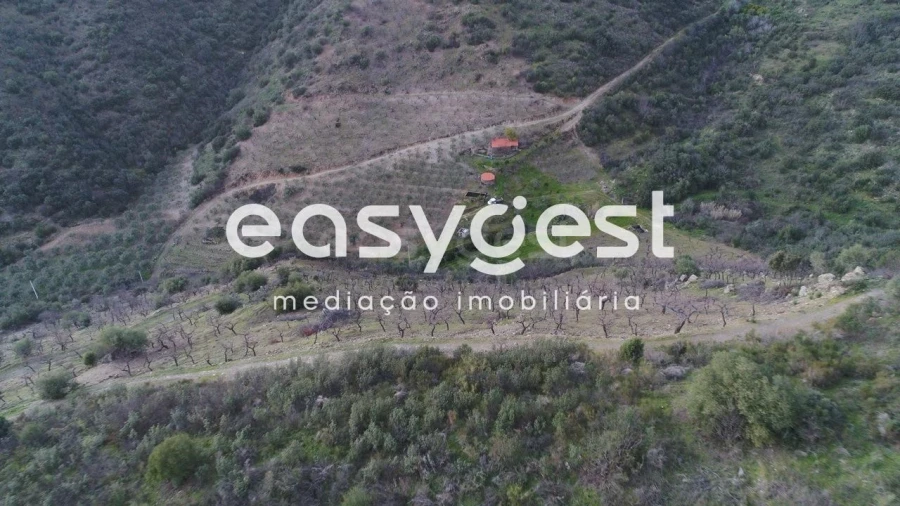 Terreno Agricola ou Rústico para Venda em Ligares Foto 16