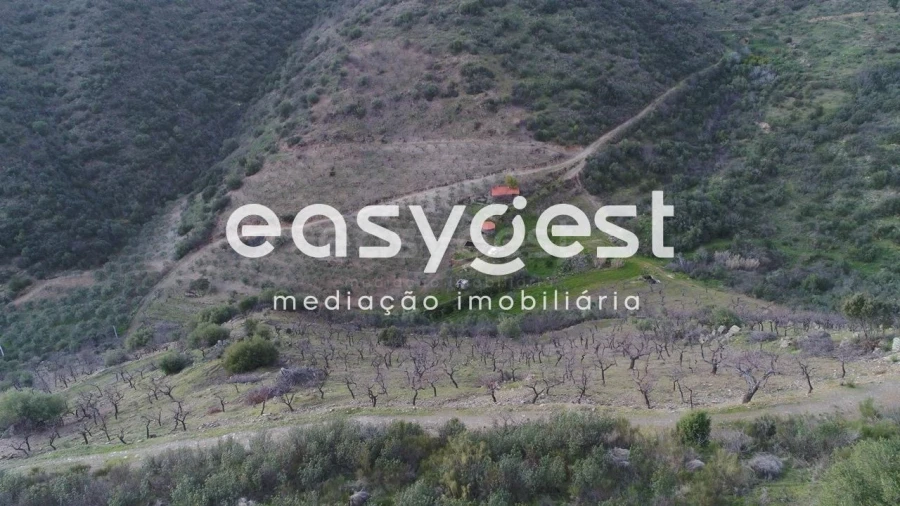 Terreno Agricola ou Rústico para Venda em Ligares Foto 17