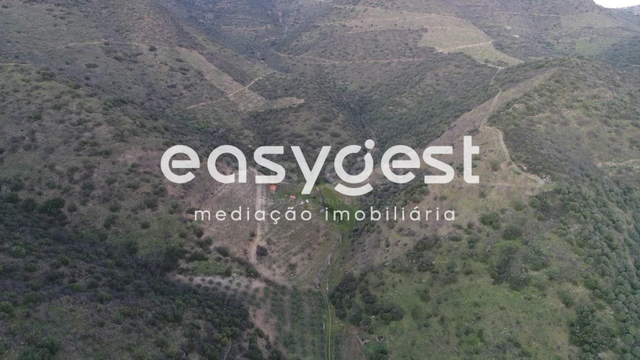 Terreno Agricola ou Rústico para Venda em Ligares Foto 20