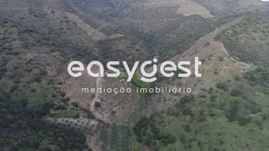 Terreno Agricola ou Rústico para Venda em Ligares Foto 21