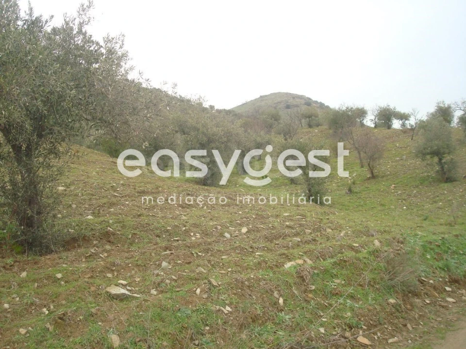 Terreno Agricola ou Rústico para Venda em Castelo Melhor Foto 4