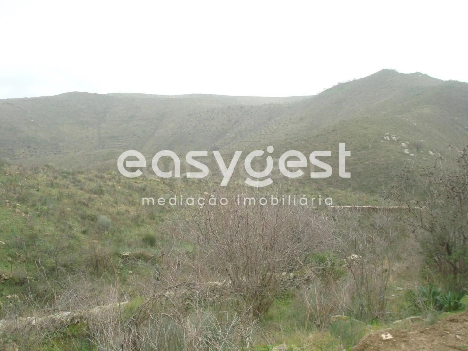 Terreno Agricola ou Rústico para Venda em Castelo Melhor Foto 7