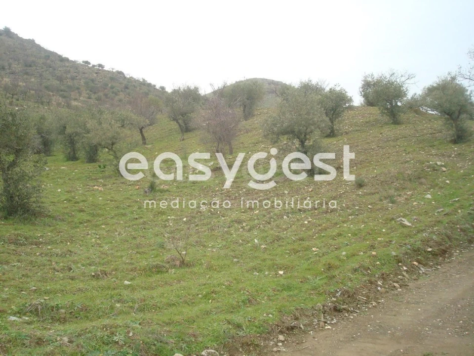 Terreno Agricola ou Rústico para Venda em Castelo Melhor Foto 9