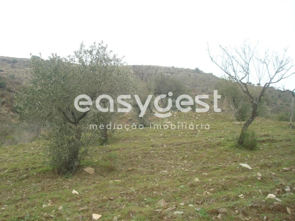 Terreno Agricola ou Rústico para Venda em Castelo Melhor Foto 11