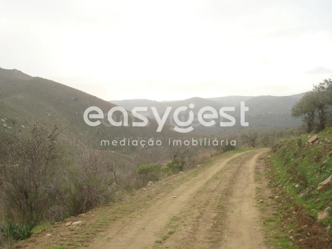 Terreno Agricola ou Rústico para Venda em Castelo Melhor Foto 8