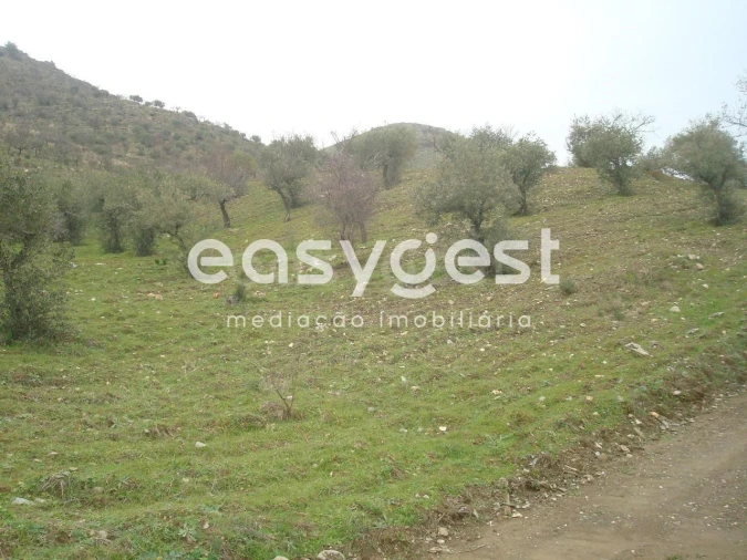 Terreno Agricola ou Rústico para Venda em Castelo Melhor Foto 9
