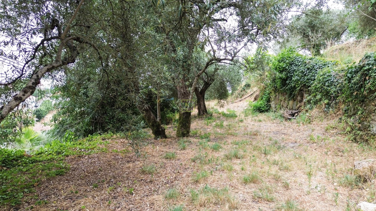 Moradia T5 para Venda em Alpedrinha Foto 32