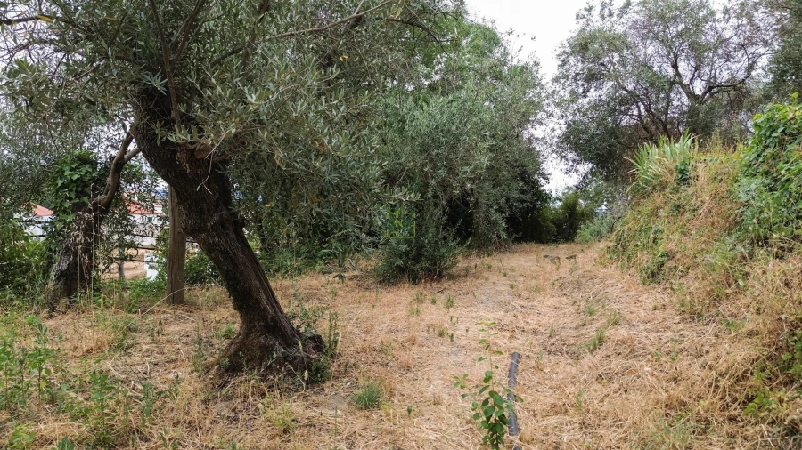 Moradia T5 para Venda em Alpedrinha Foto 35