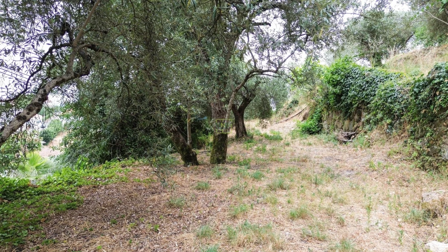 Moradia T5 para Venda em Alpedrinha Foto 32