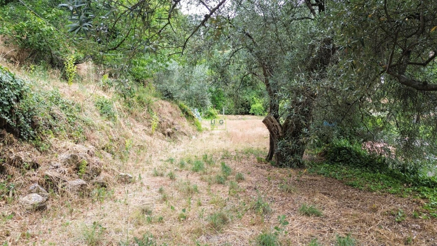 Moradia T5 para Venda em Alpedrinha Foto 34