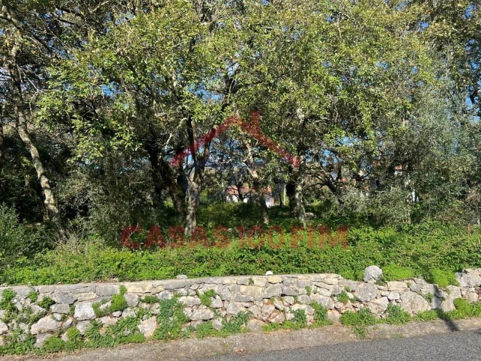 Terreno para Venda em Alvados e Alcaria Foto 2