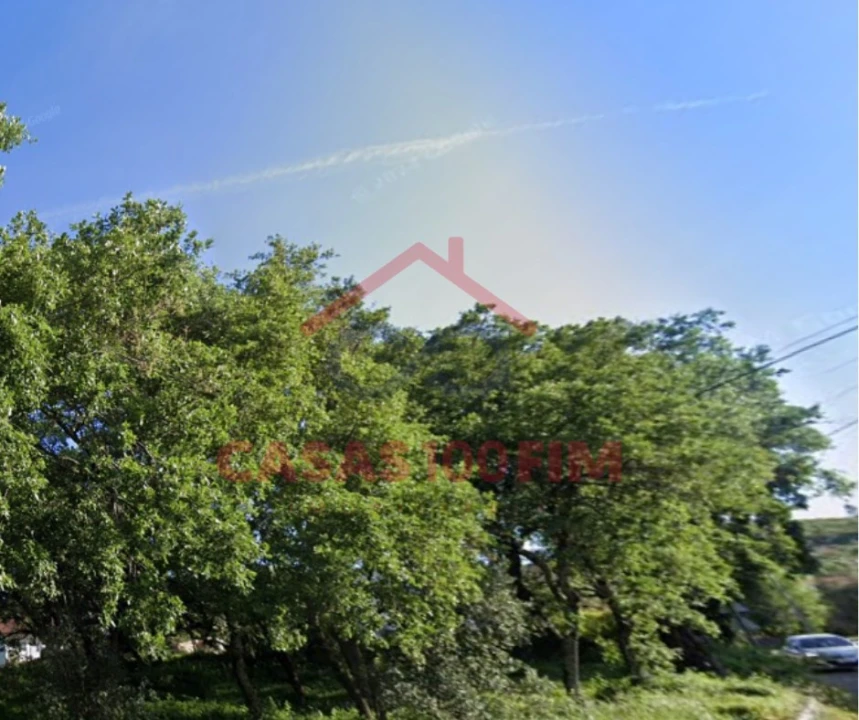 Terreno para Venda em Alvados e Alcaria Foto 3