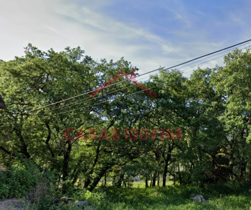 Terreno para Venda em Alvados e Alcaria Foto 4