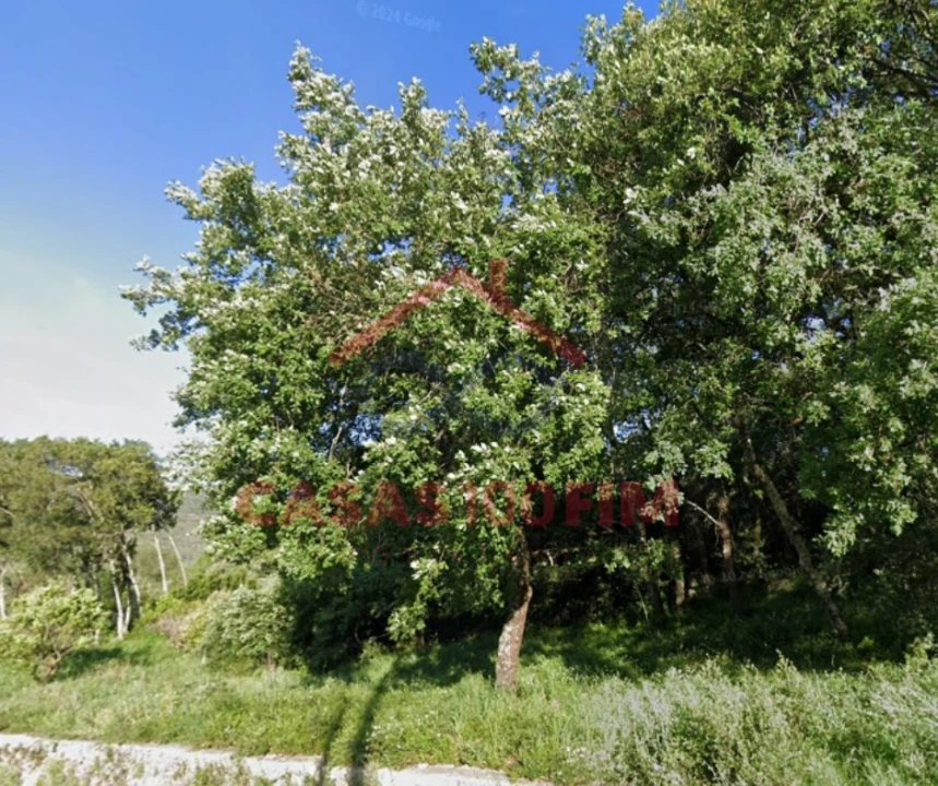 Terreno para Venda em Alvados e Alcaria Foto 5
