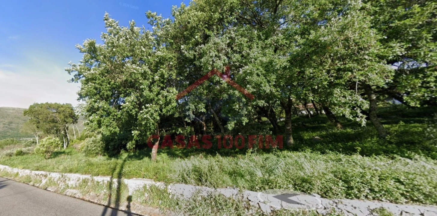 Terreno para Venda em Alvados e Alcaria Foto 8