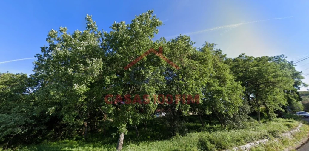 Terreno para Venda em Alvados e Alcaria Foto 6