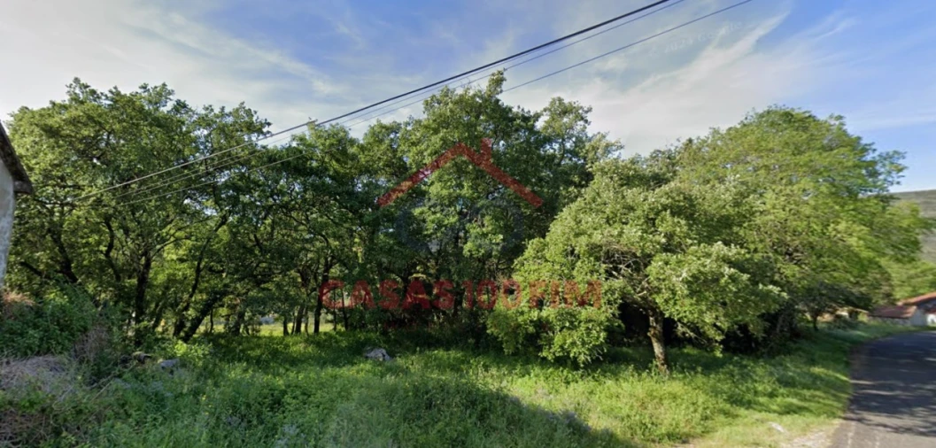Terreno para Venda em Alvados e Alcaria Foto 7