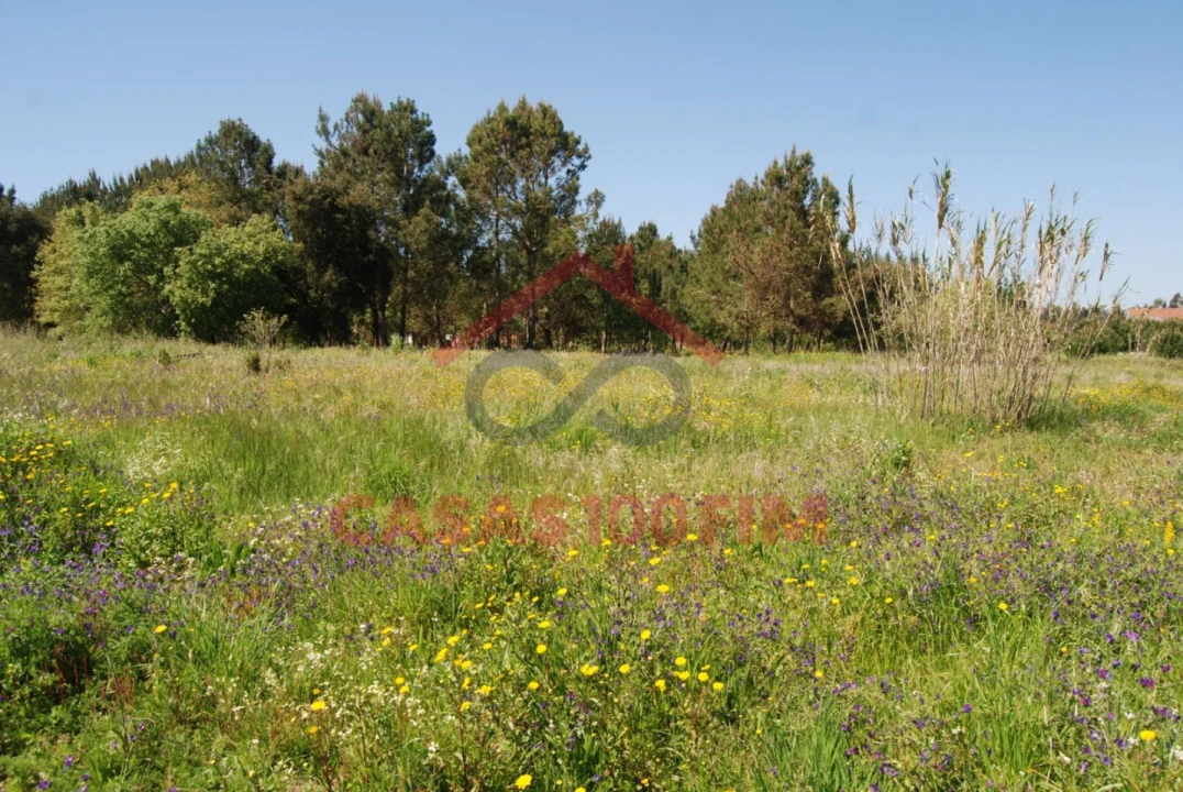 Terreno Agricola ou Rústico para Venda em Batalha Foto 1