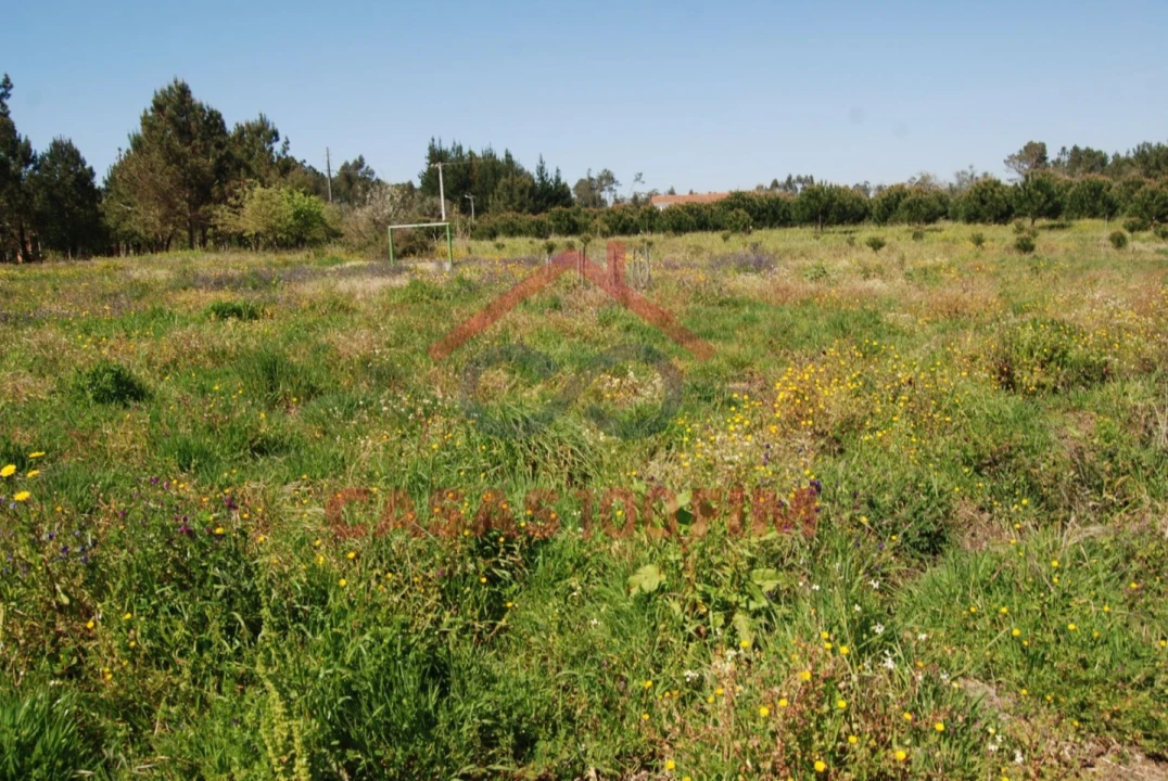 Terreno Agricola ou Rústico para Venda em Batalha Foto 3